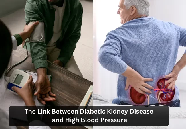 The Link Between Diabetic Kidney Disease and High Blood Pressure