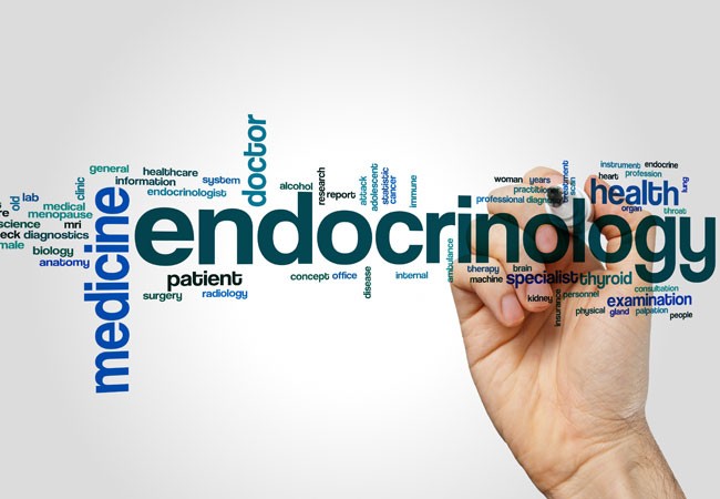 What is Endocrinology